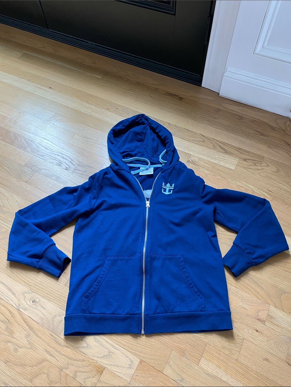 Blue Zip-Front Hoodie Sweatshirt